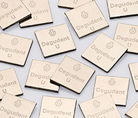 Degudent U